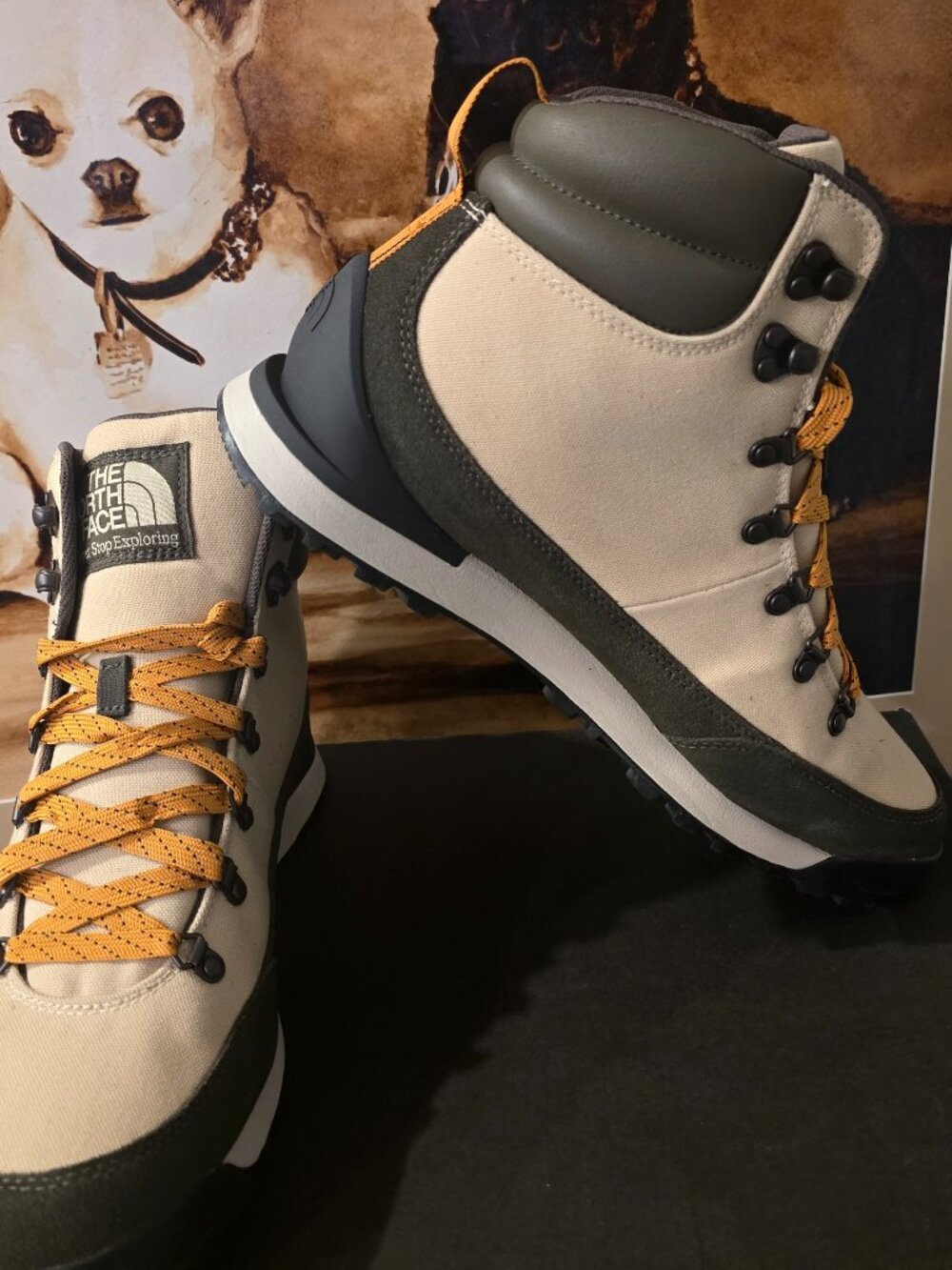 The North Face Back-To-Berkeley IV Textile Leather WP Waterproof Mens Sz 11 NEW